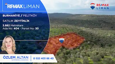 BURHANİYE PELİTKÖY’ DE DENİZ MANZARALI SATILIK ZEYTİNLİK