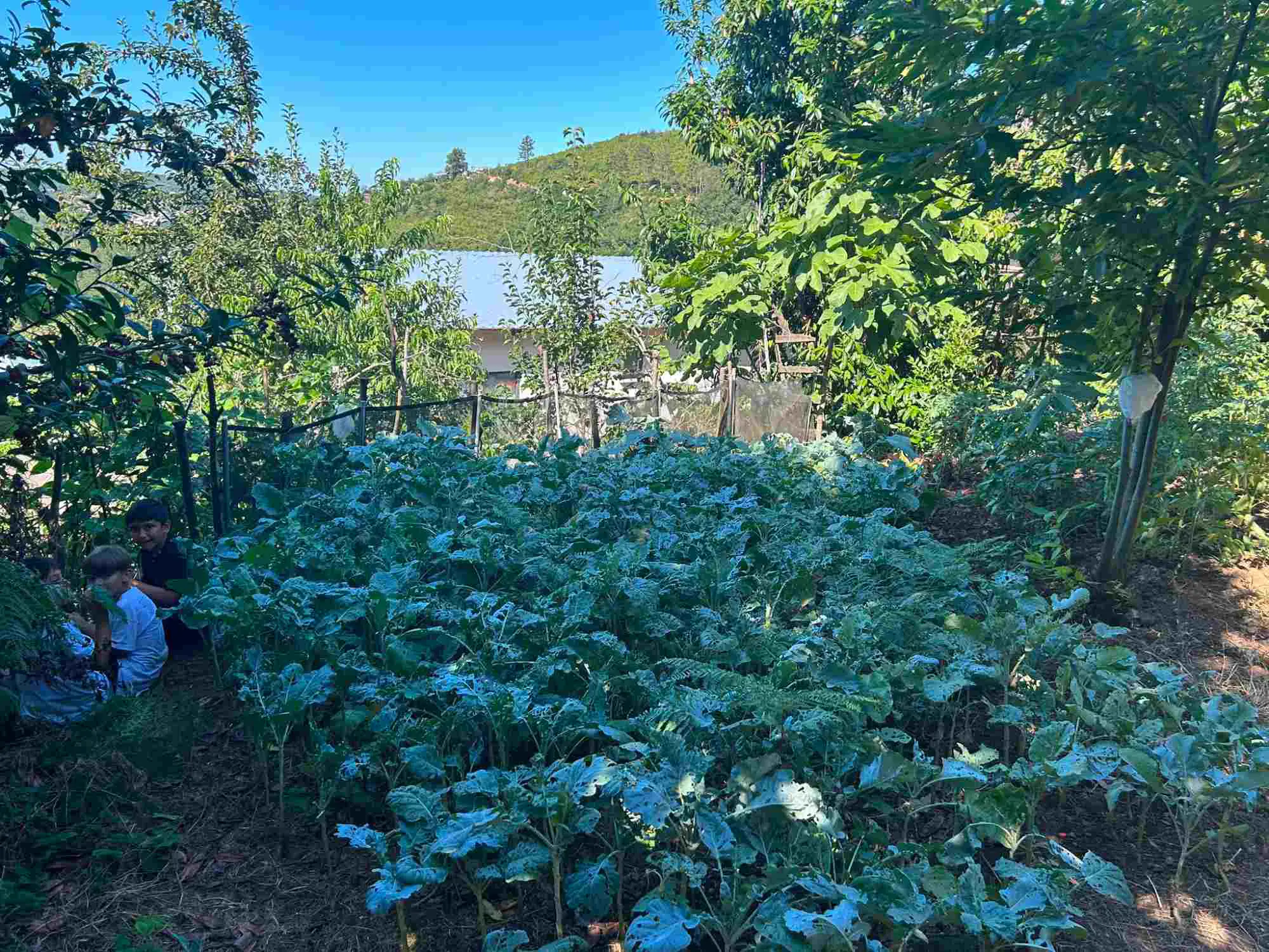 Property image 22