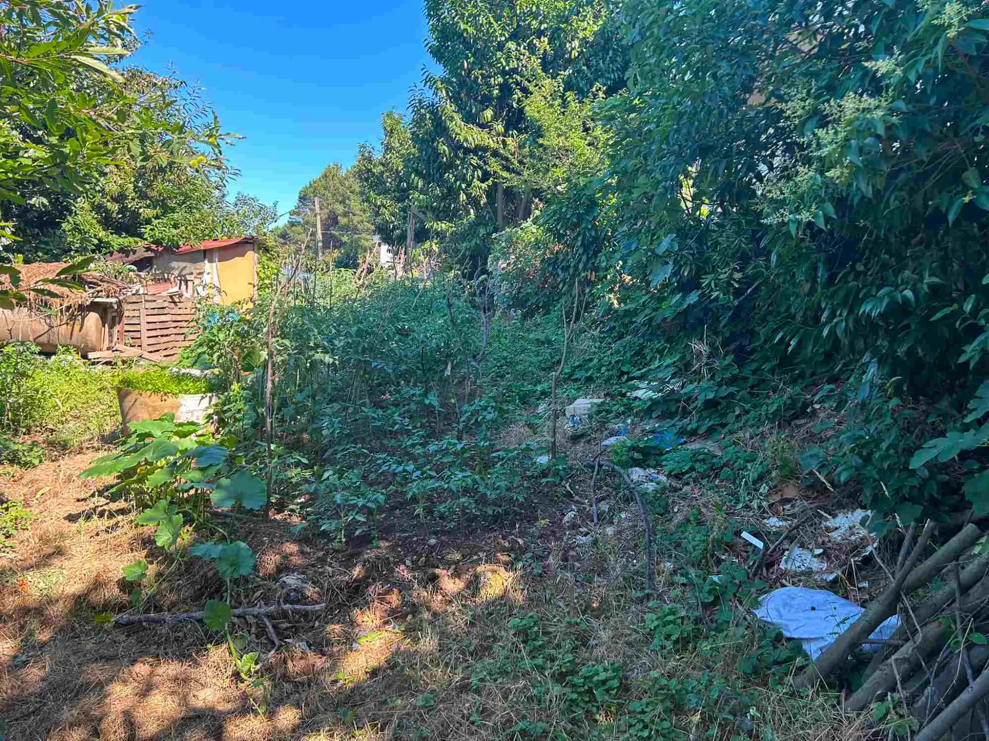 Property image 27