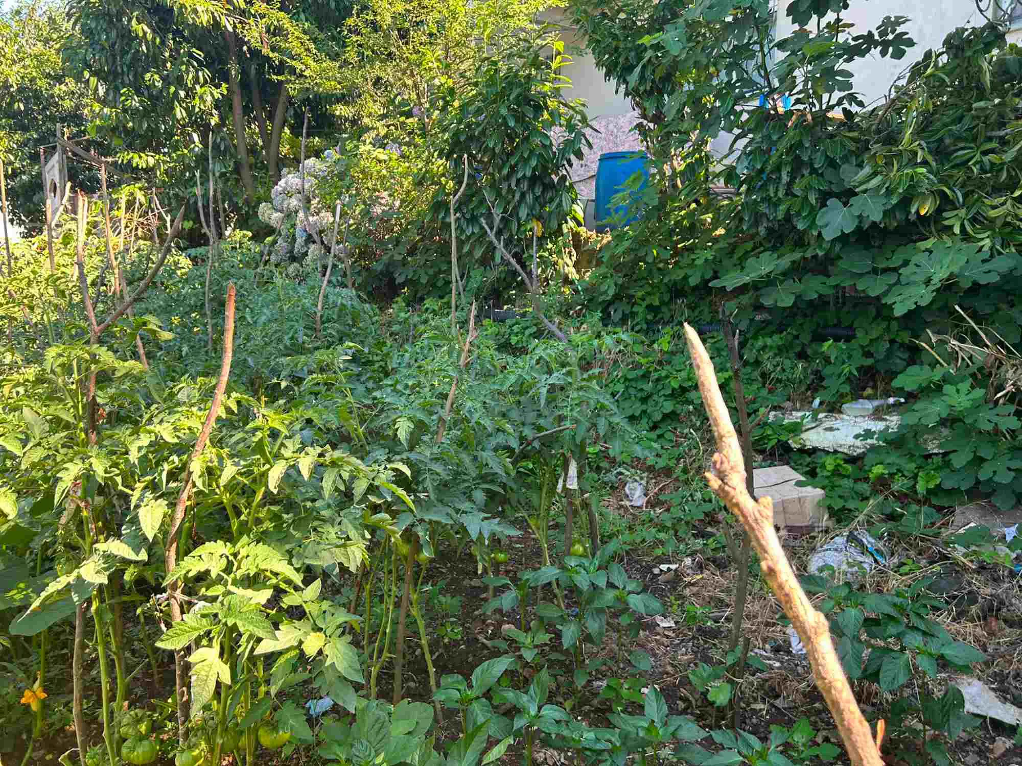 Property image 23