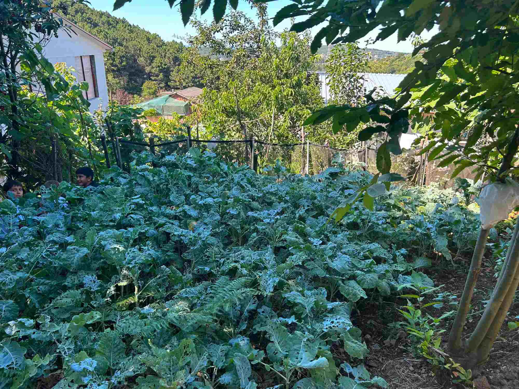 Property image 21