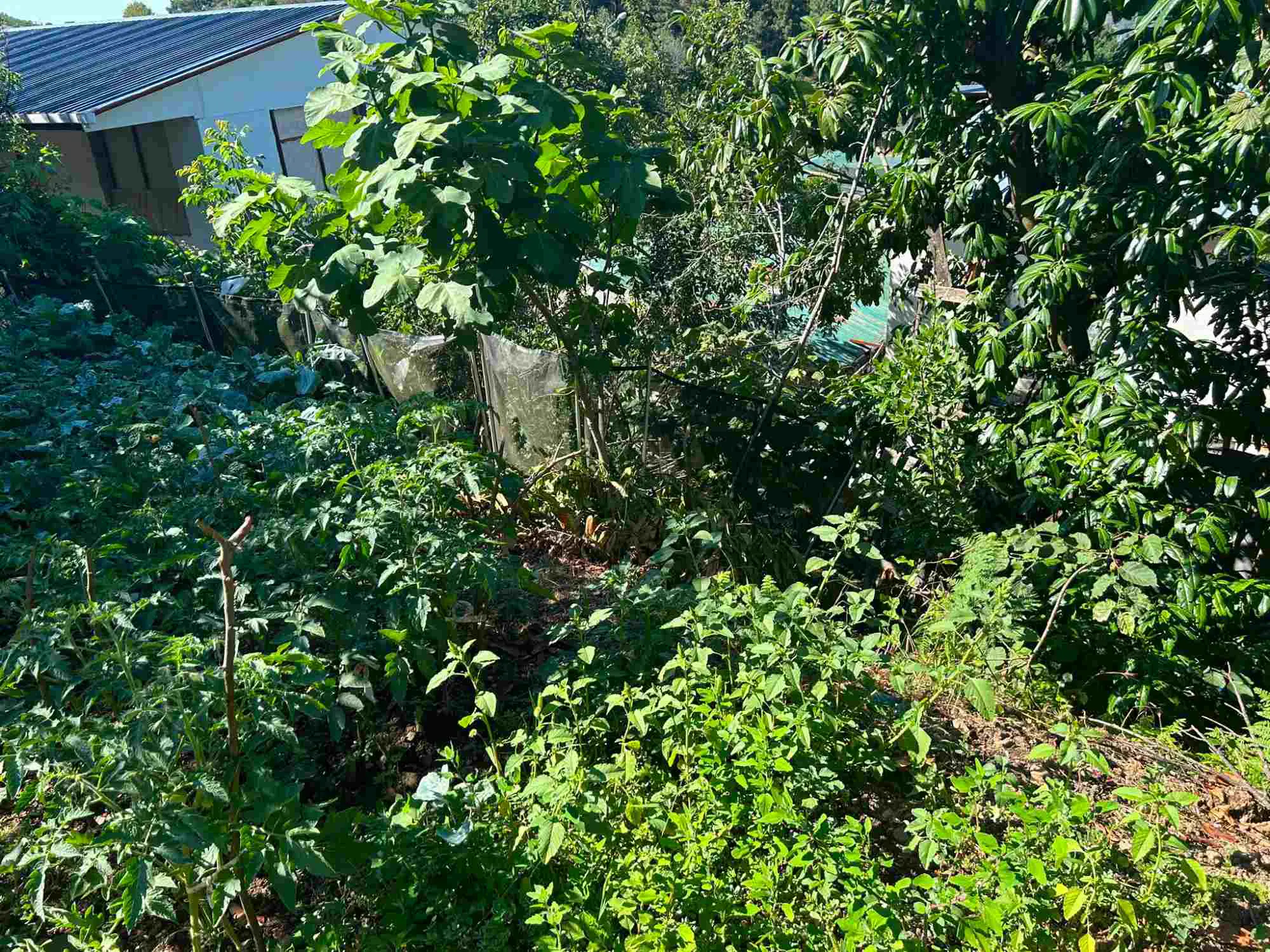 Property image 17