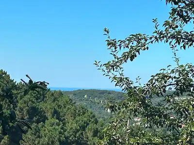 BEYKOZ İNCİRKÖY’DE KARADENİZ MANZARALI, 323 M² VİLLA İMARLI ARSA