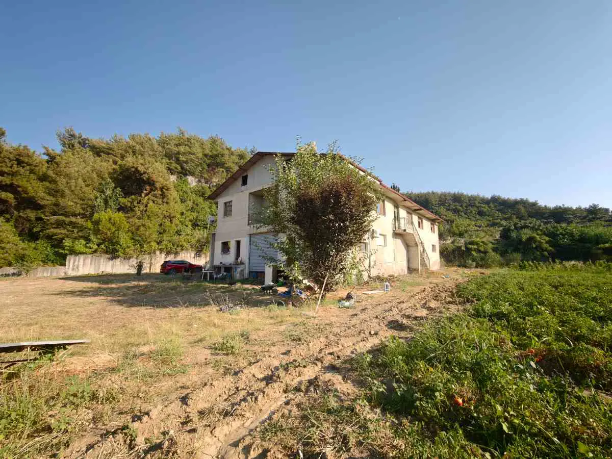 Property image 6