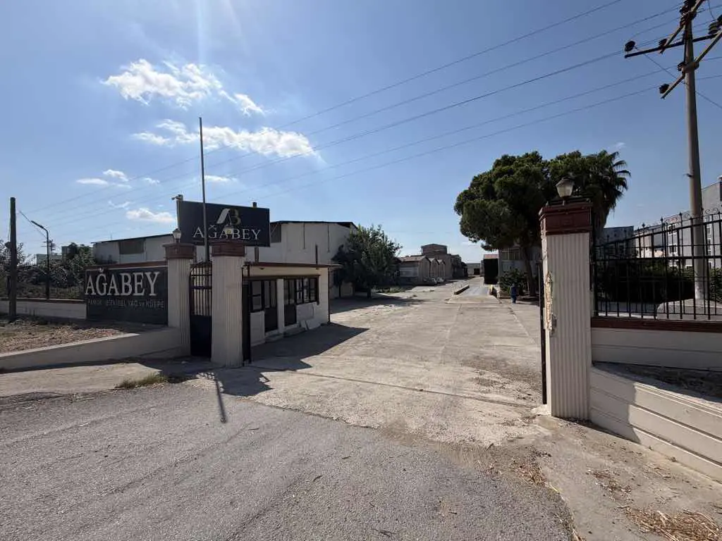 Property image 8