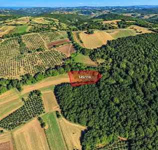 KANDIRA BOZBURUN’DA 1.696 M² YATIRIM FIRSATI – MÜSTAKİL TARLA