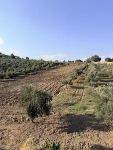ONİKİŞUBAT’TA SATILIK BAĞ & BAHÇE NİTELİĞİNDE ARSA TAPULU ARAZİ | KREDİYE UYGUN
