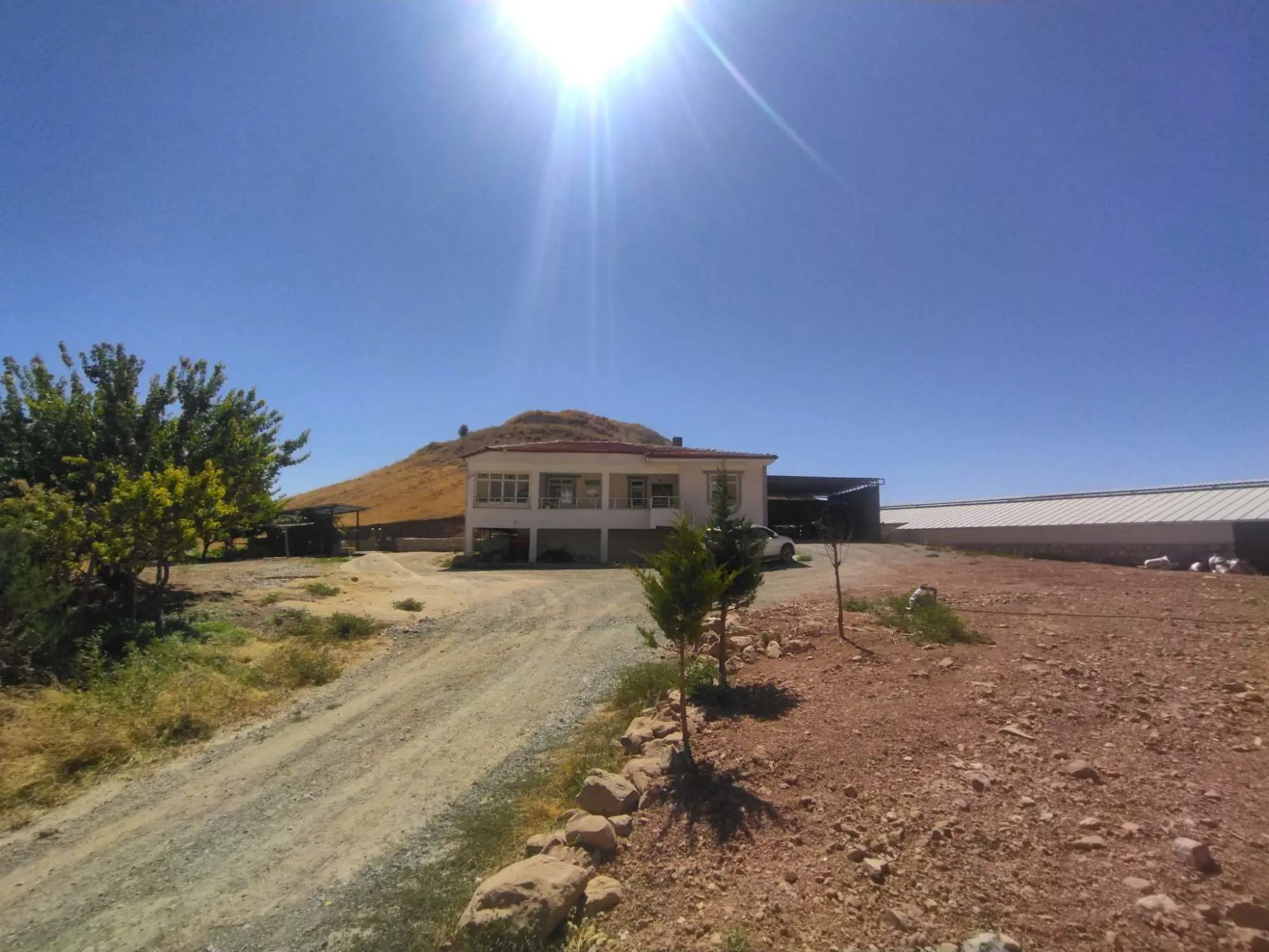 Property image 16