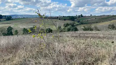 KOCAELİ KANDIRA EĞERCİLİ KÖYÜNDE 702M2 SATILIK TARLA