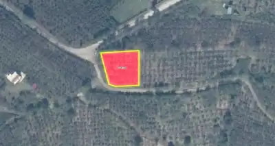HENDEK GÜNDOĞAN MAH. 1.000 M2 KONUT İMARLI ARSA
