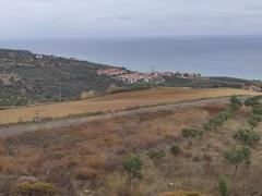 FIRSAT; TEKİRDAĞ ŞARKÖY'DE SATILIK DENİZ MANZARALI TARLA