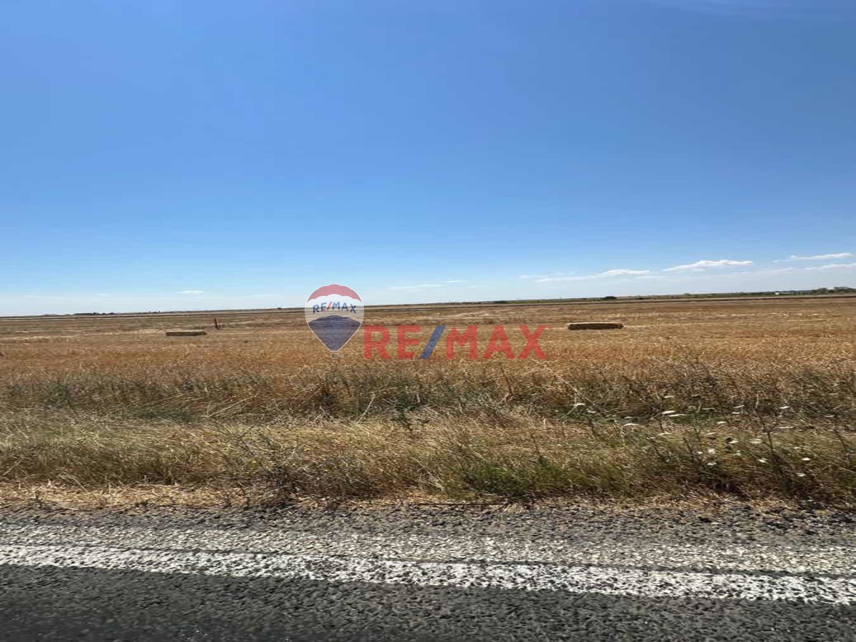 TEKİRDAĞ BEYAZKÖY'DE 32.037M2 SATILIK ARSA..!!!