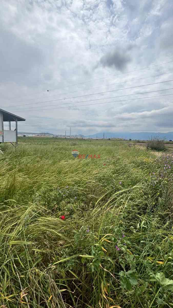 ALIAĞA YALI MAHALLESI ORGANIZE YAKINI KUNDUZ ÇAYI DIBI SATILIK TARLA