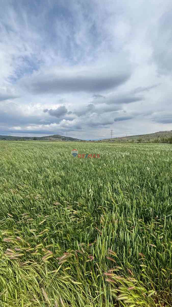 ALIAĞA YALI MAHALLESI ORGANIZE YAKINI KUNDUZ ÇAYI DIBI SATILIK TARLA