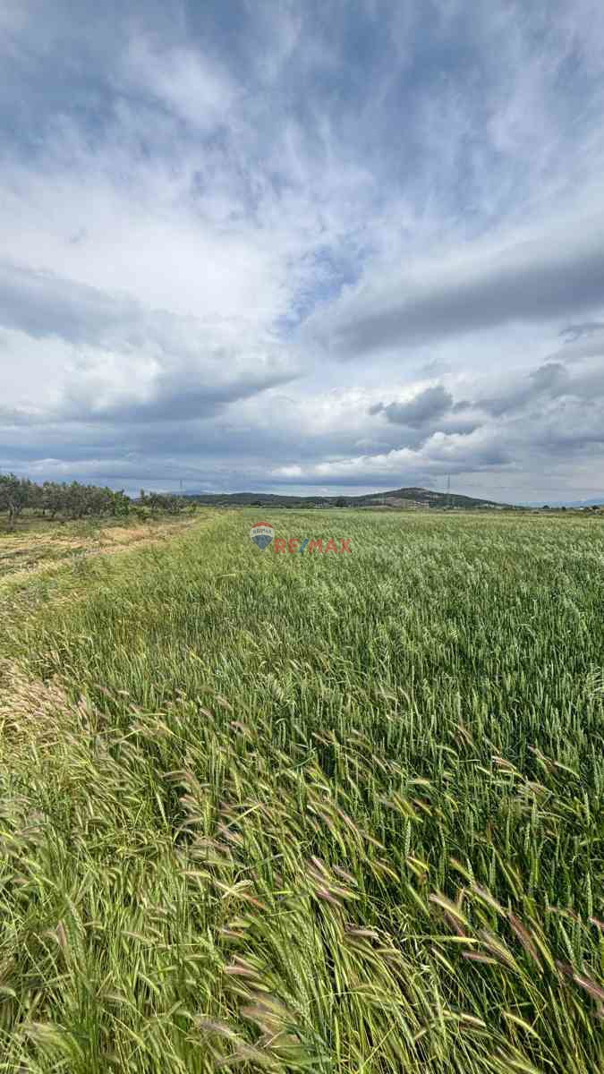 ALIAĞA YALI MAHALLESI ORGANIZE YAKINI KUNDUZ ÇAYI DIBI SATILIK TARLA