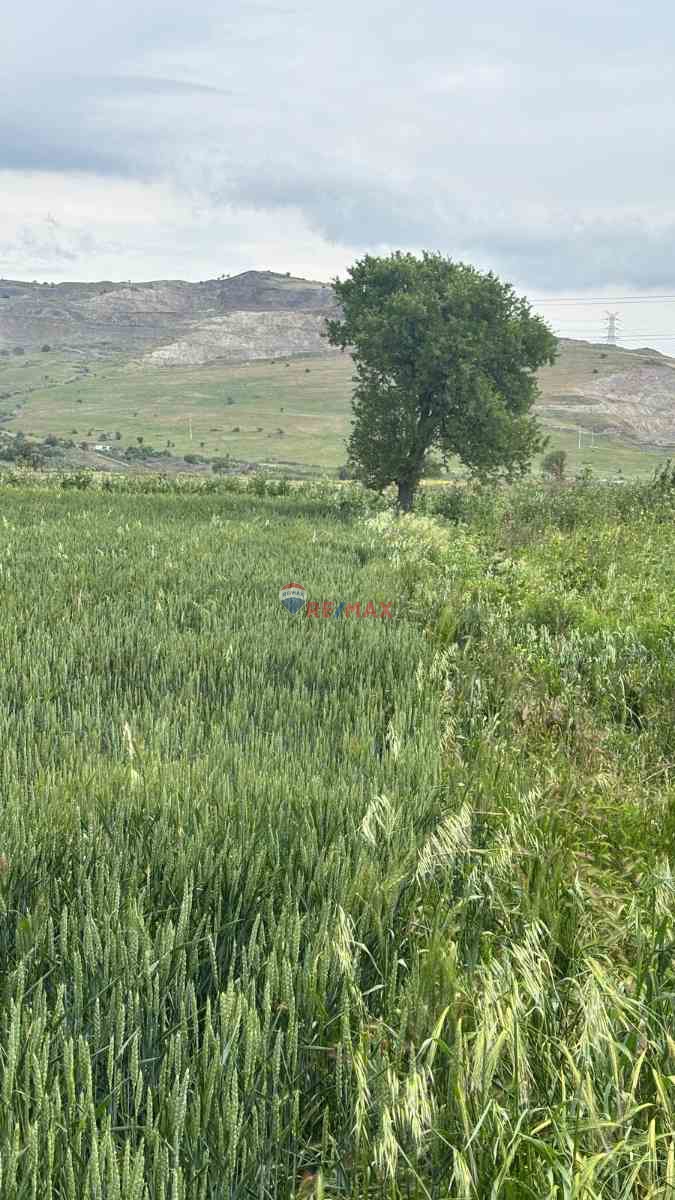 ALIAĞA YALI MAHALLESI ORGANIZE YAKINI KUNDUZ ÇAYI DIBI SATILIK TARLA