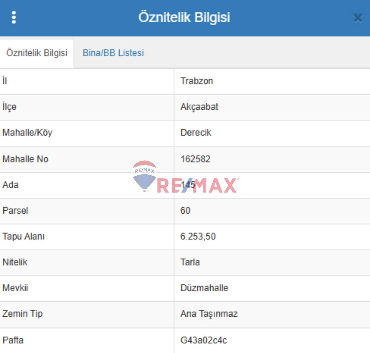 REMAX NATURAL'DAN TRABZON AKÇAABAT'DA SATILIK TARLA