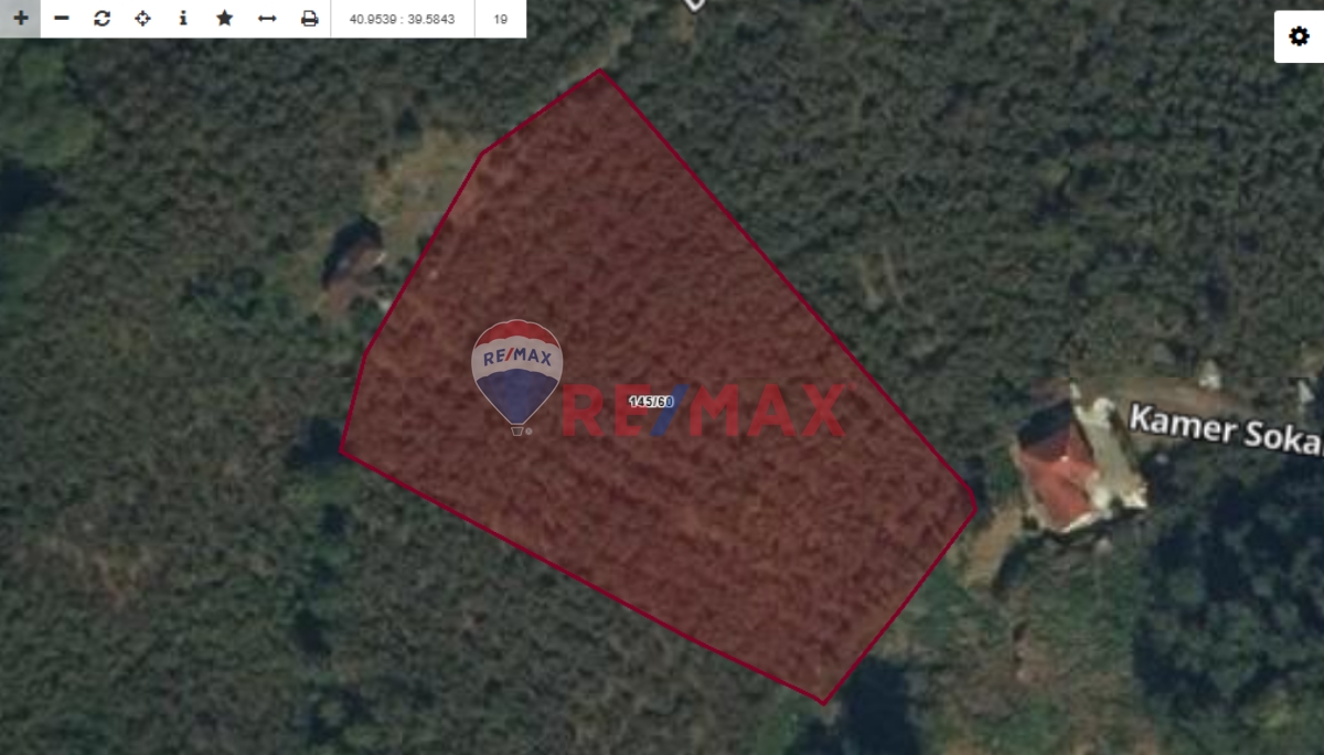 REMAX NATURAL'DAN TRABZON AKÇAABAT'DA SATILIK TARLA