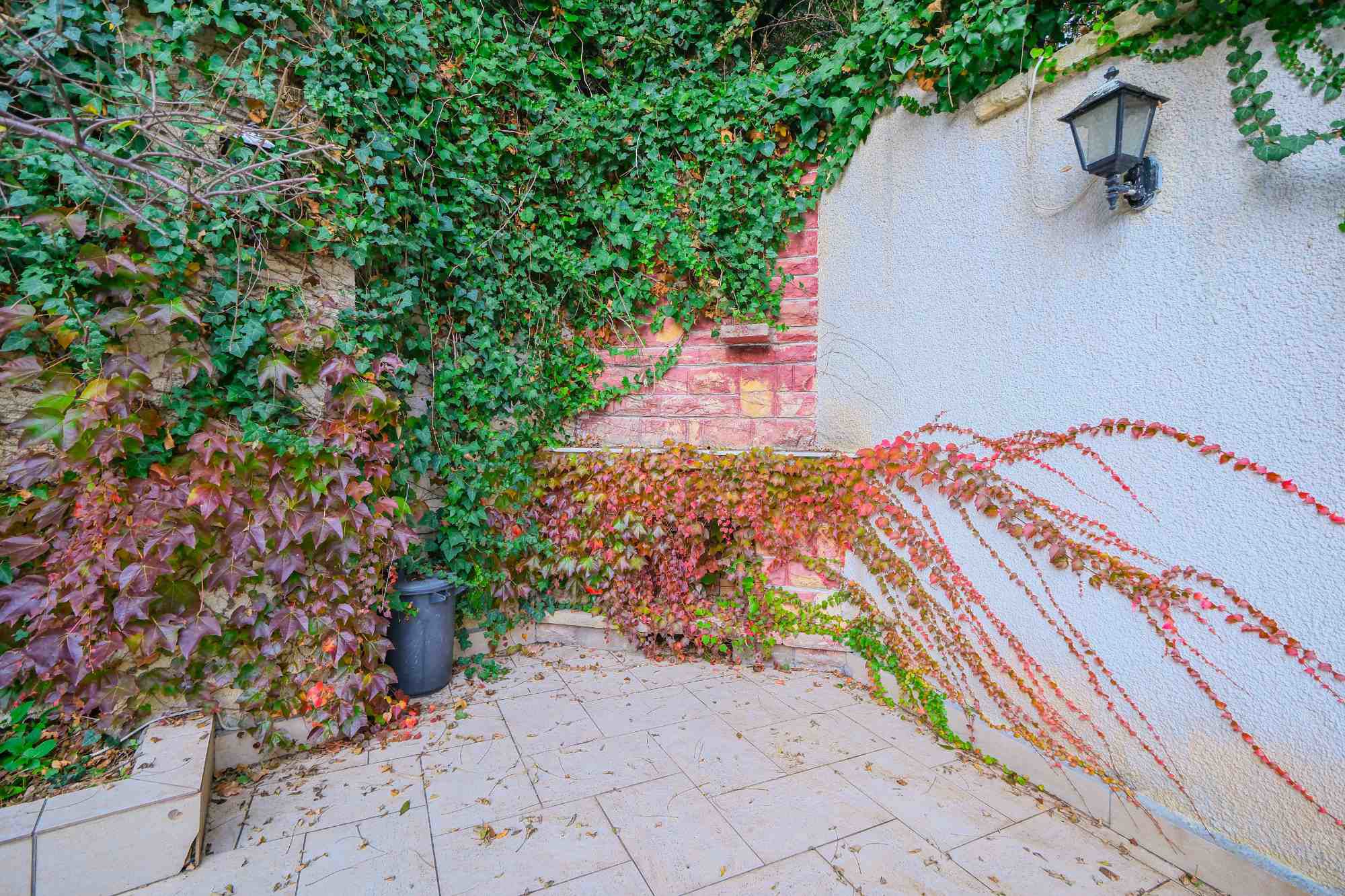 🌿TARABYA'NIN EN SEÇKIN HATTINDA YEŞILIN IÇINDE, SAHILE YÜRÜME MESAFESINDE SATILIK DAIRE