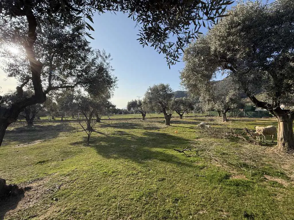 Property image 17