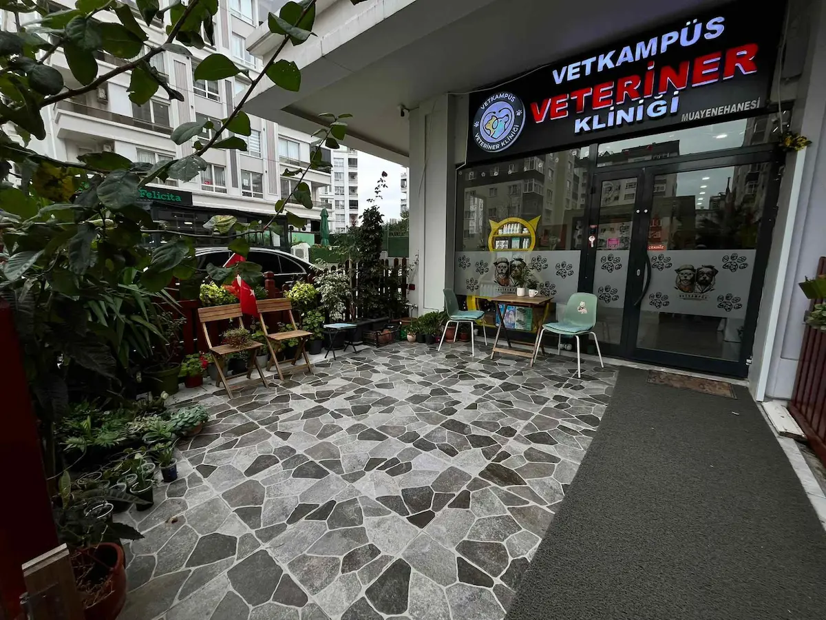 MALTEPE ALTAYÇEŞME İŞLEK CADDE ÜZRİ VETERİNER KİRACILI SATILIK İŞYERİ
