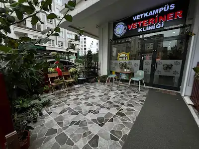 MALTEPE ALTAYÇEŞME İŞLEK CADDE ÜZRİ VETERİNER KİRACILI SATILIK İŞYERİ