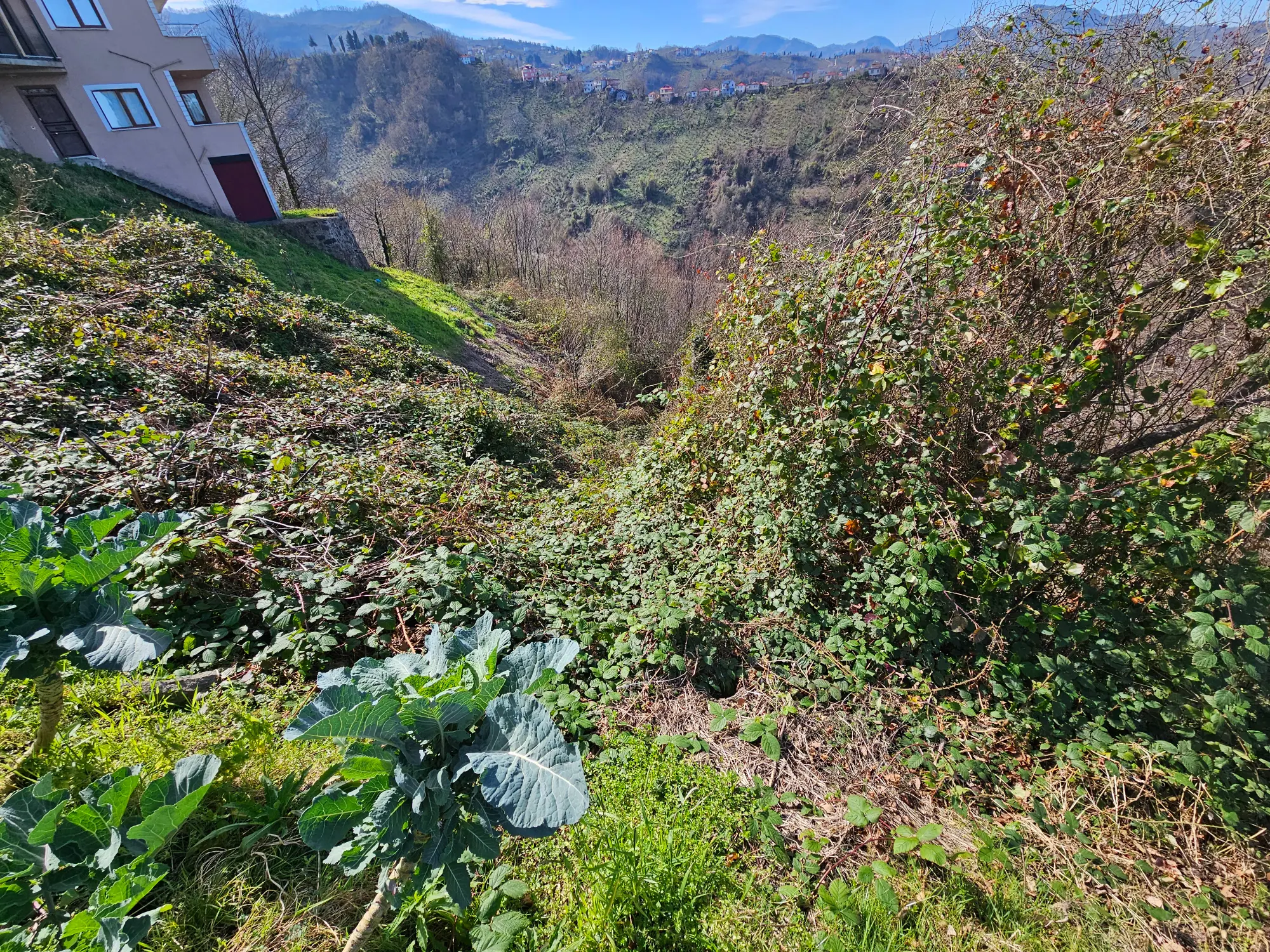 Property image 18