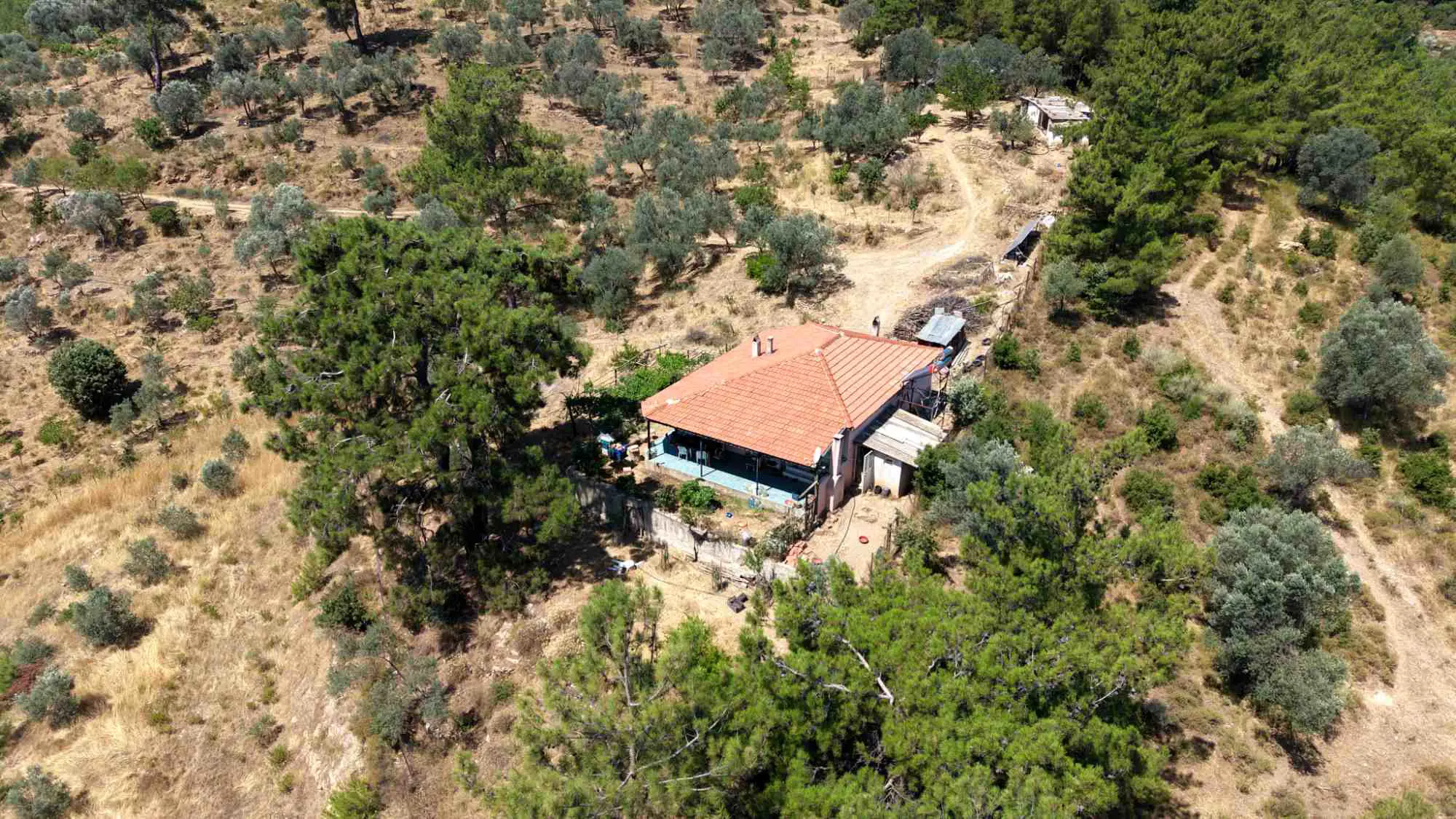 Property image 31