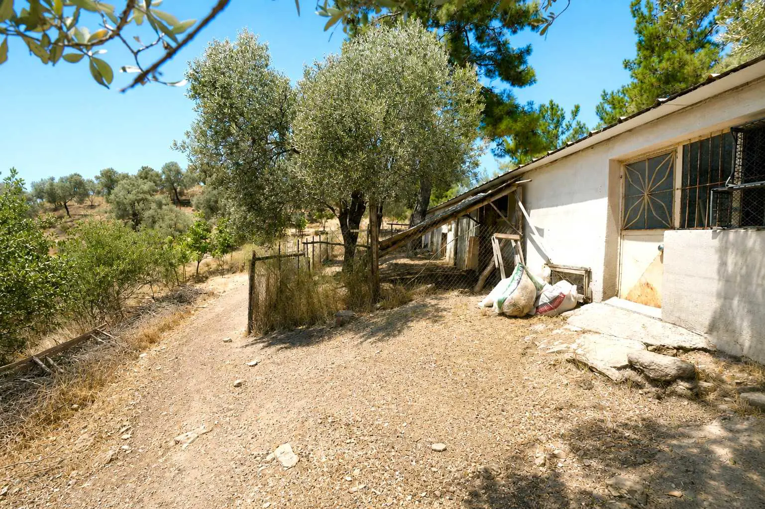 Property image 23