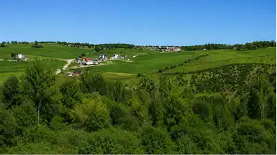 REMAX SERHAT/ATAKUM/KAMALI/TEK TAPU/SATILIK ARSA