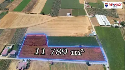 MENDERES TEKELİ'DE 2 ADET TEK TAPU HİSSELİ FİYATINA TARLA