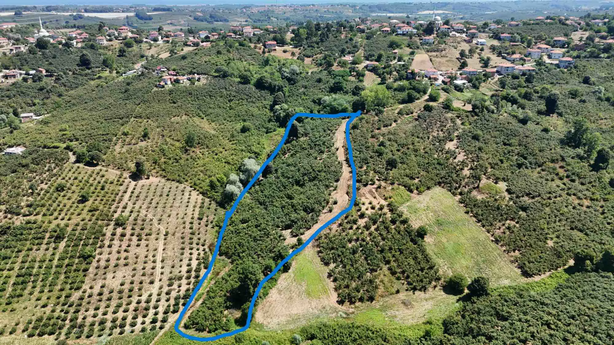 Property image 17