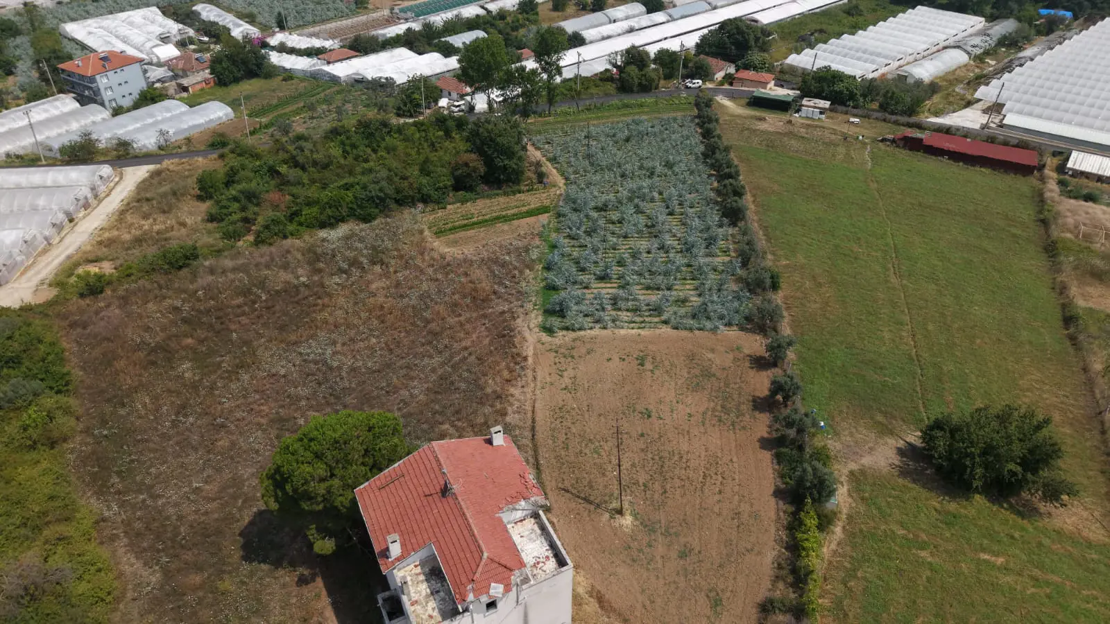 Property image 16