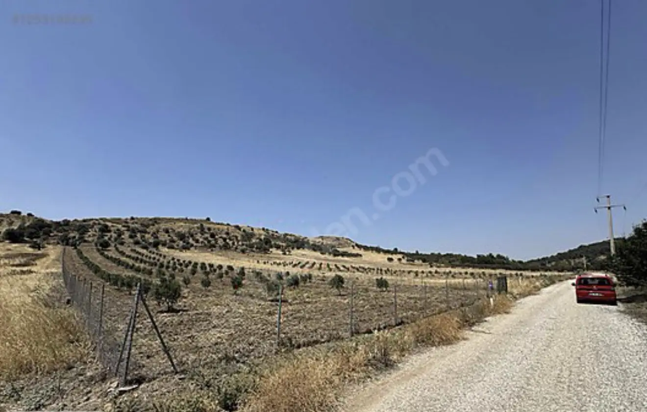 Property image 8