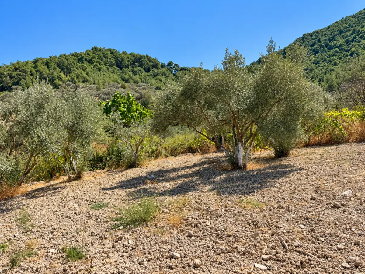 Property image 28