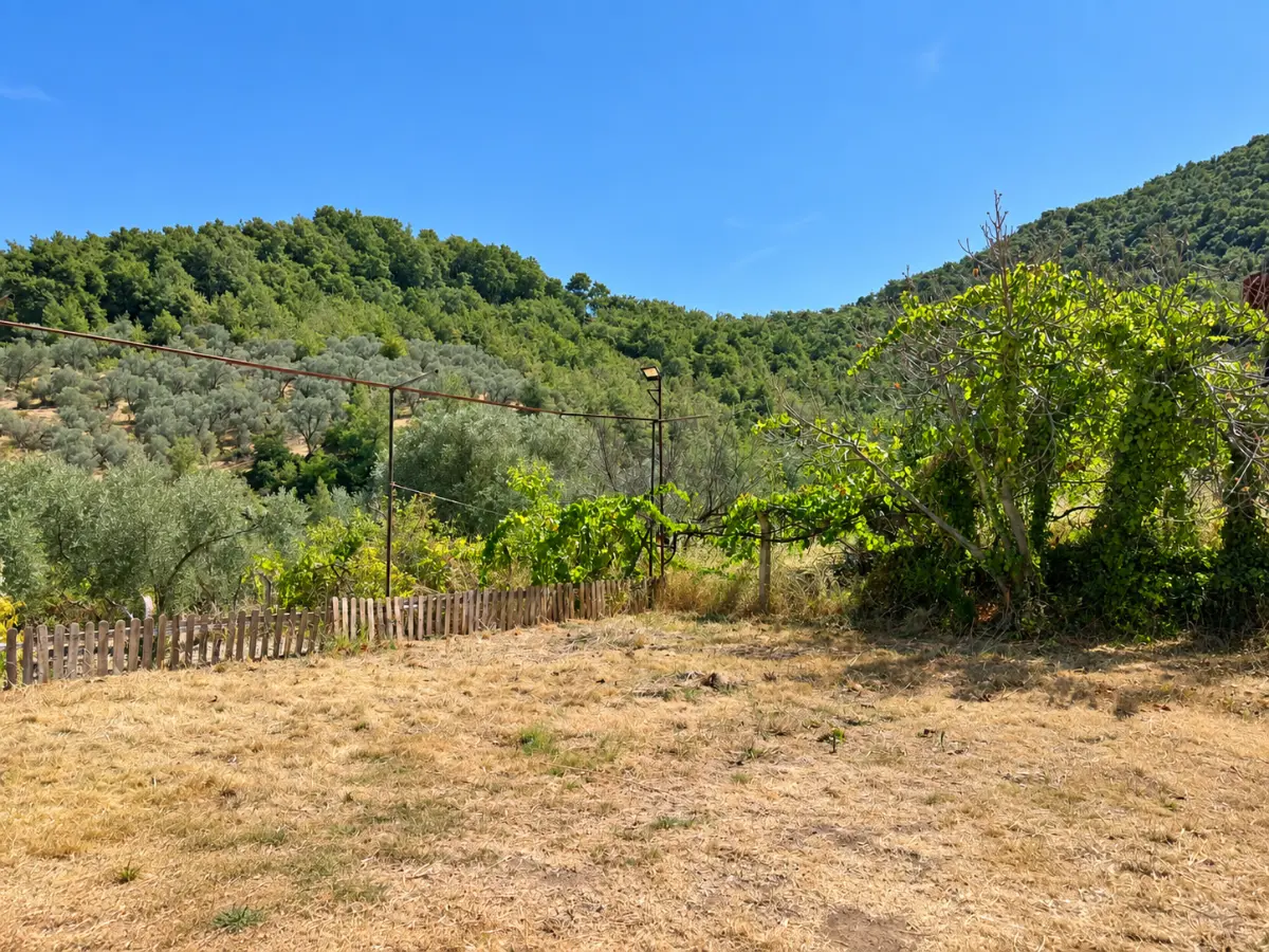 Property image 26