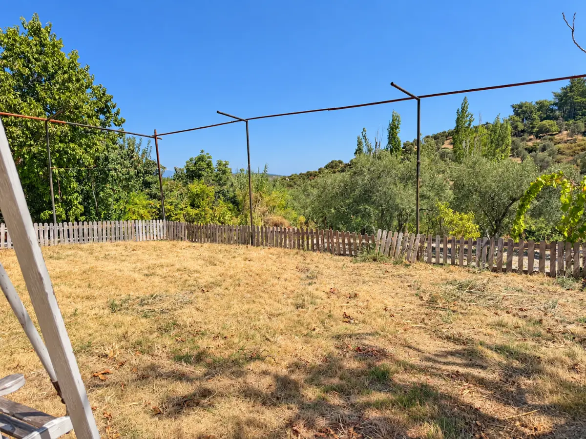 Property image 24