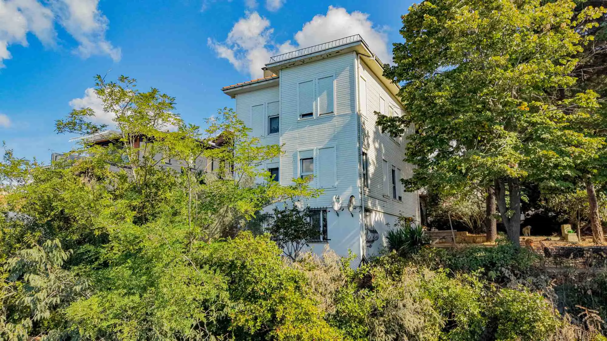 Property image 36