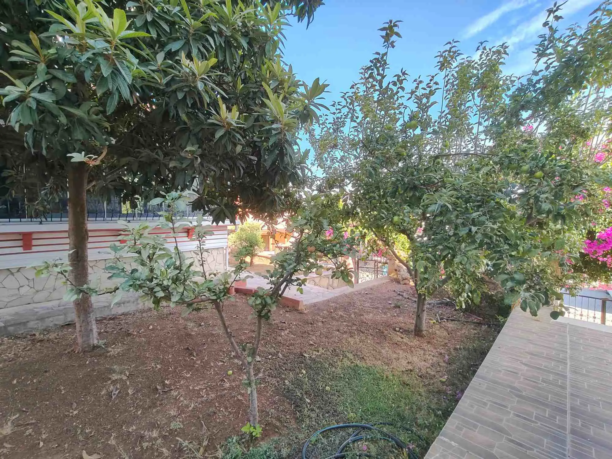 Property image 69