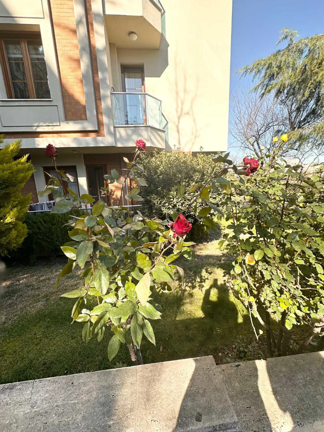 Property image 30