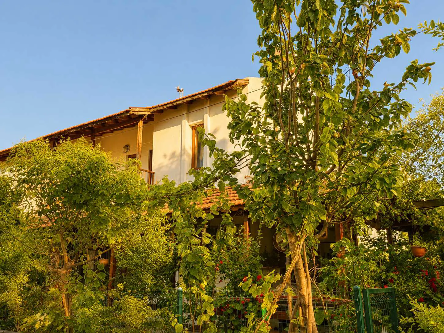 Property image 24