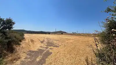 İZMİR ALİAĞA BARBAROS HAYRETTİN PAŞA’DA KİRALIK TARLA
