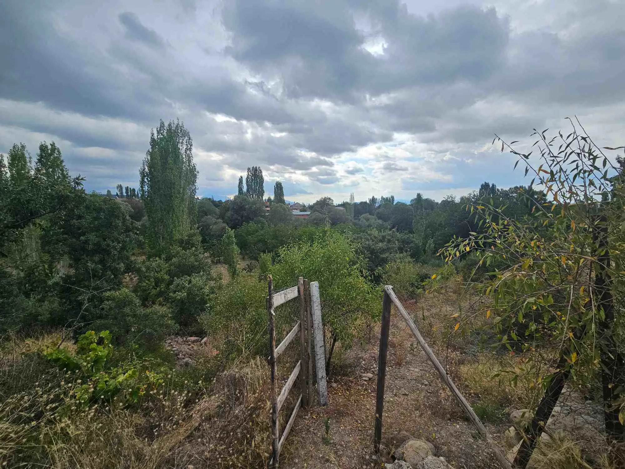 Property image 23