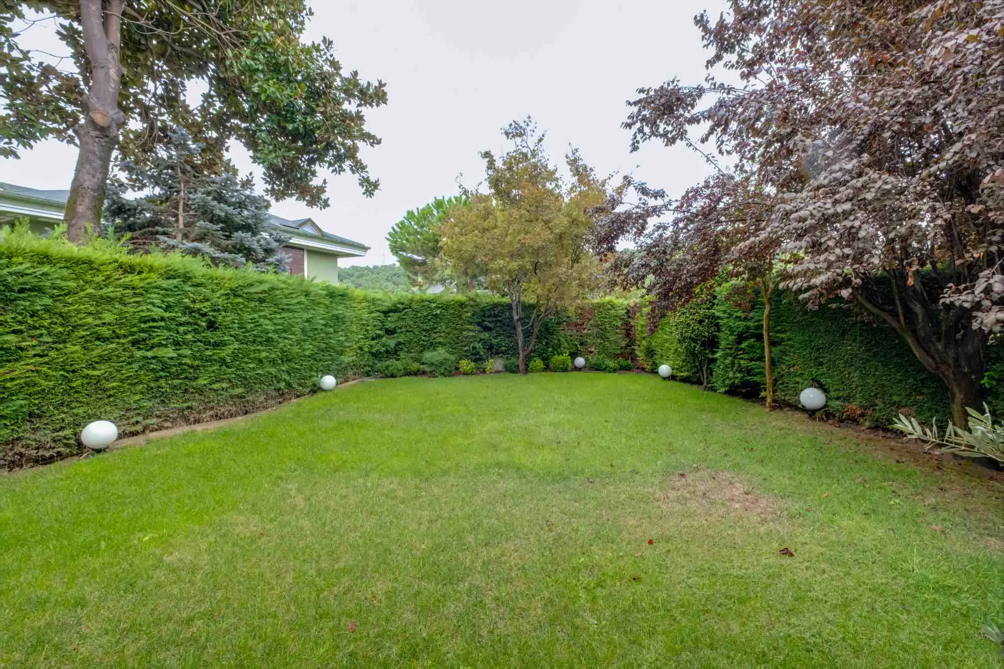 Property image 55