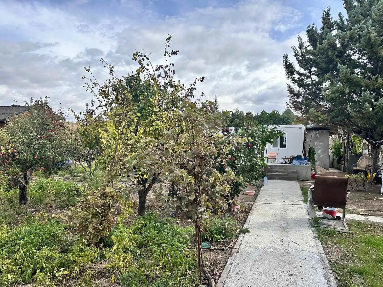 Property image 26