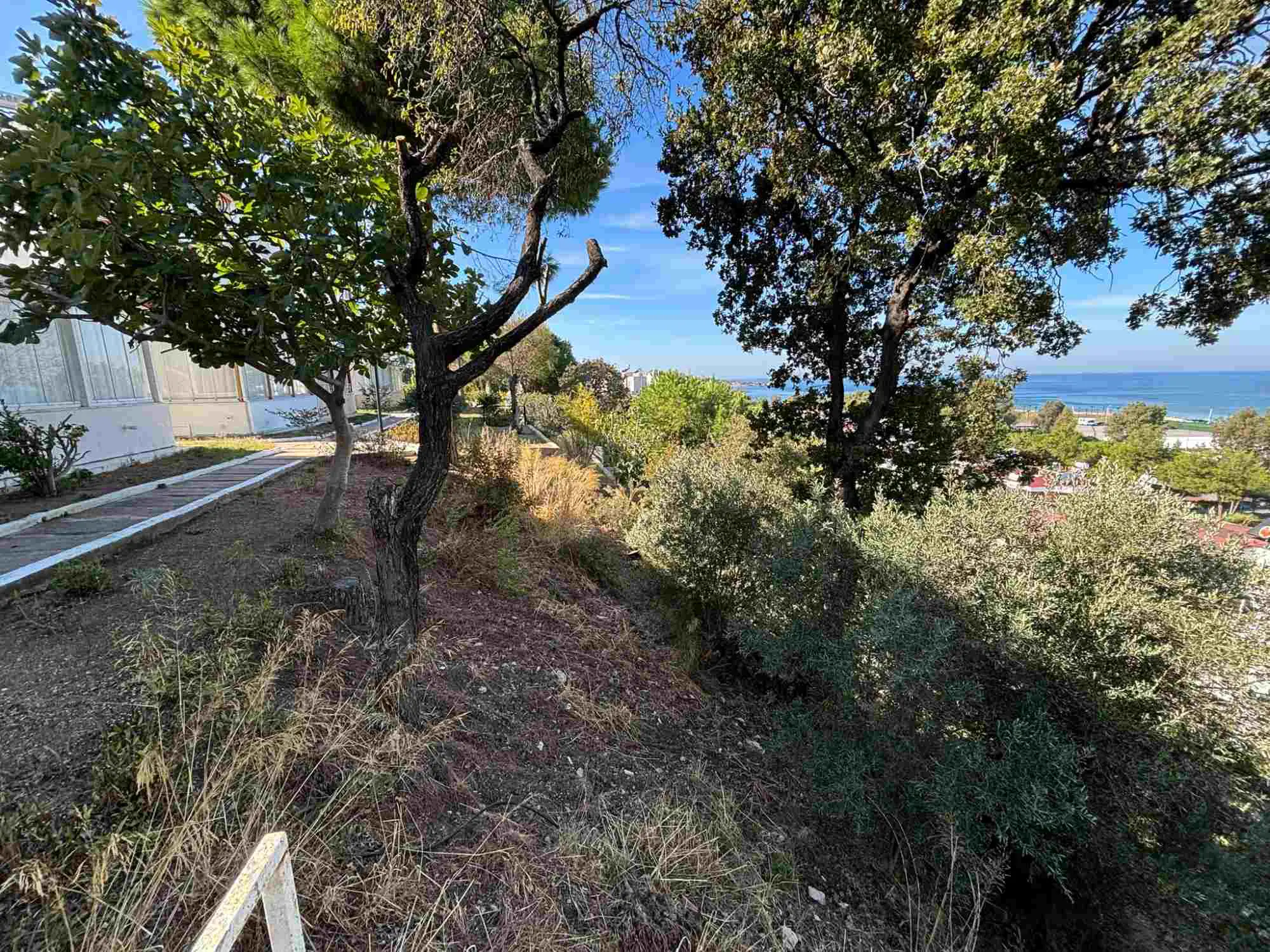 Property image 24