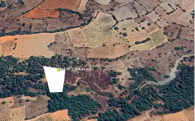 DENİZLİ ÇAL ÇAKIRLAR MH 2.928 M2 RESMİ YOLA 2 PARSEL SATILIK BAĞ