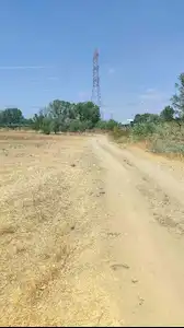 ERTUĞRUL KÖYDE 4.200 M2 ARAZİ