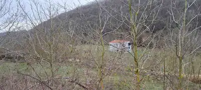 KIRKLARELİ VİZE KÜÇÜKYAYLA'DA 1234 M2 SATILIK TARLA