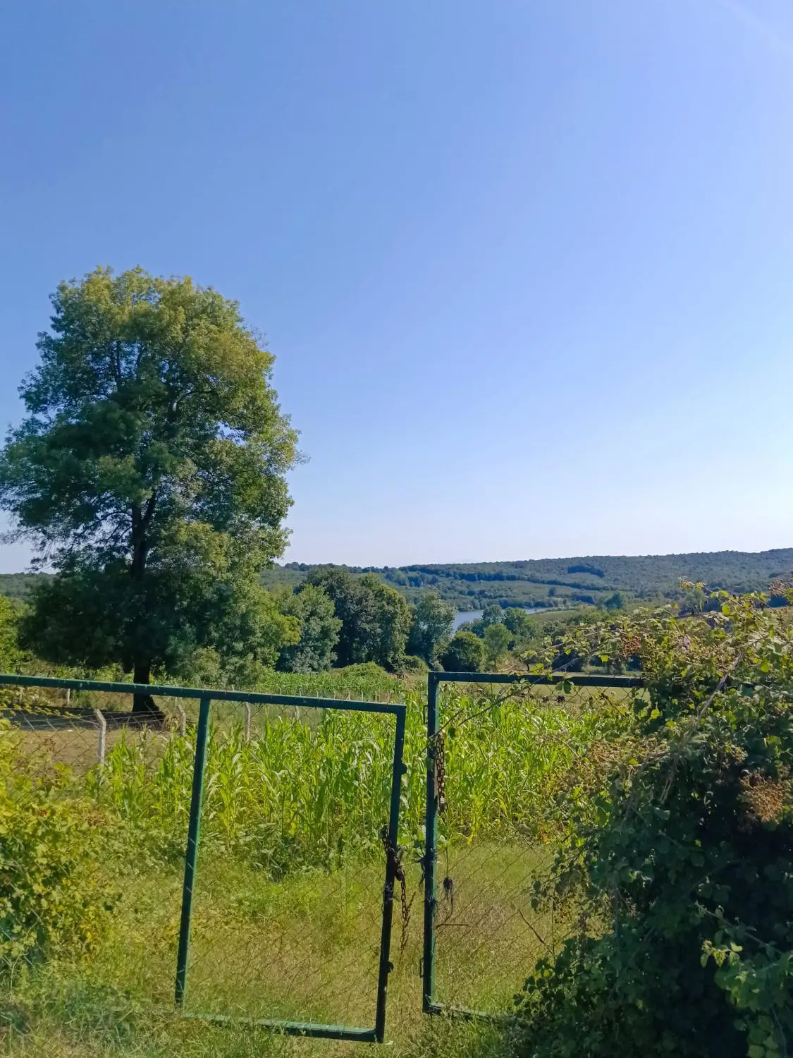 Property image 8